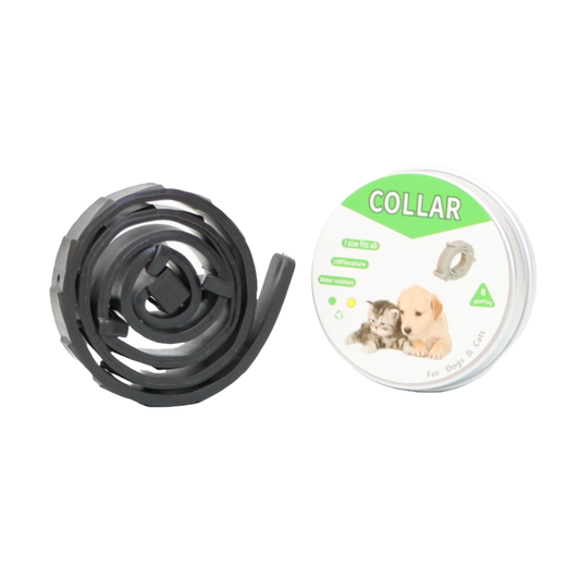 COLLAR ANTIPULGAS PARA PERRO PEQUEÑO EN LATA COLOR NEGRO