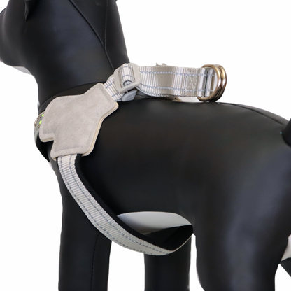 ARNÉS PARA PERRO EN FORMA DE Y - COLOR NEGRO, TALLA M