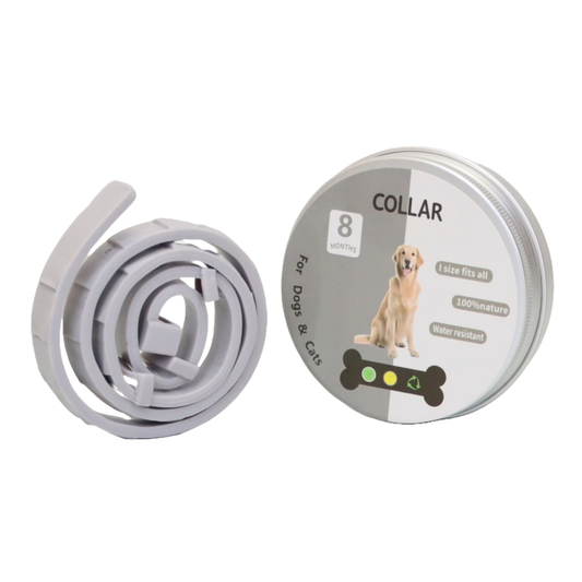 COLLAR ANTIPULGAS PARA PERRO GRANDE EN LATA COLOR GRIS