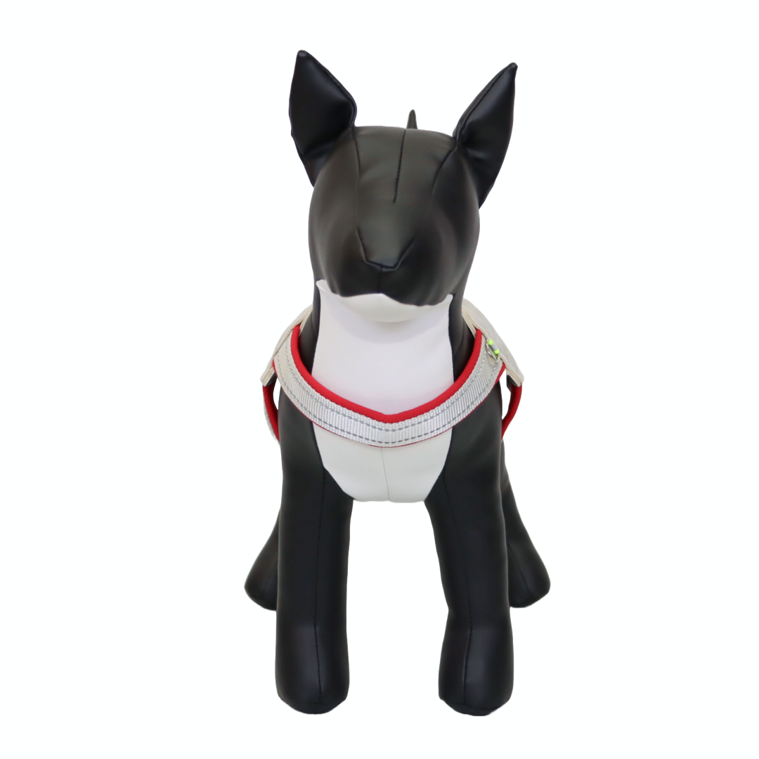 ARNÉS PARA PERRO EN FORMA DE Y - COLOR ROJO, TALLA S