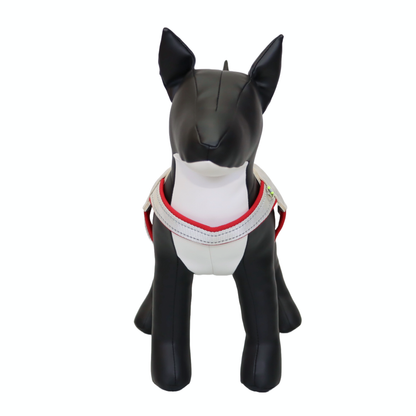 ARNÉS PARA PERRO EN FORMA DE Y - COLOR ROJO, TALLA S