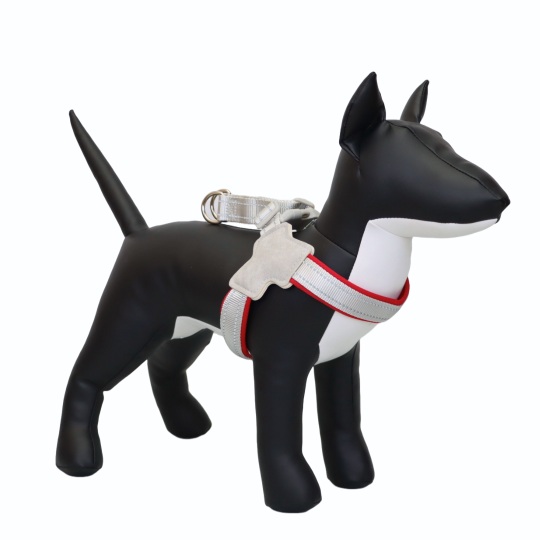 ARNÉS PARA PERRO EN FORMA DE Y - COLOR ROJO, TALLA M