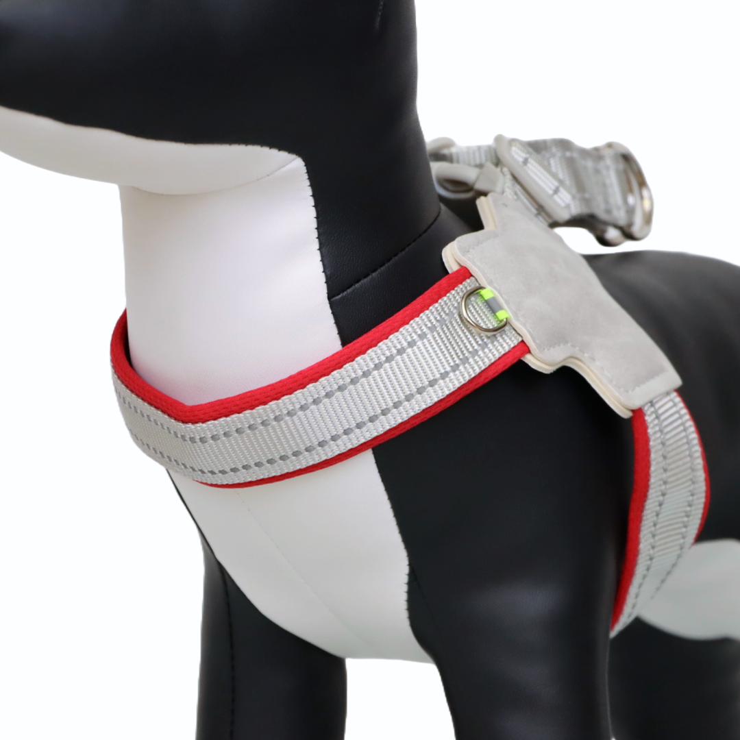 ARNÉS PARA PERRO EN FORMA DE Y - COLOR ROJO, TALLA M