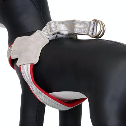 ARNÉS PARA PERRO EN FORMA DE Y - COLOR ROJO, TALLA XL