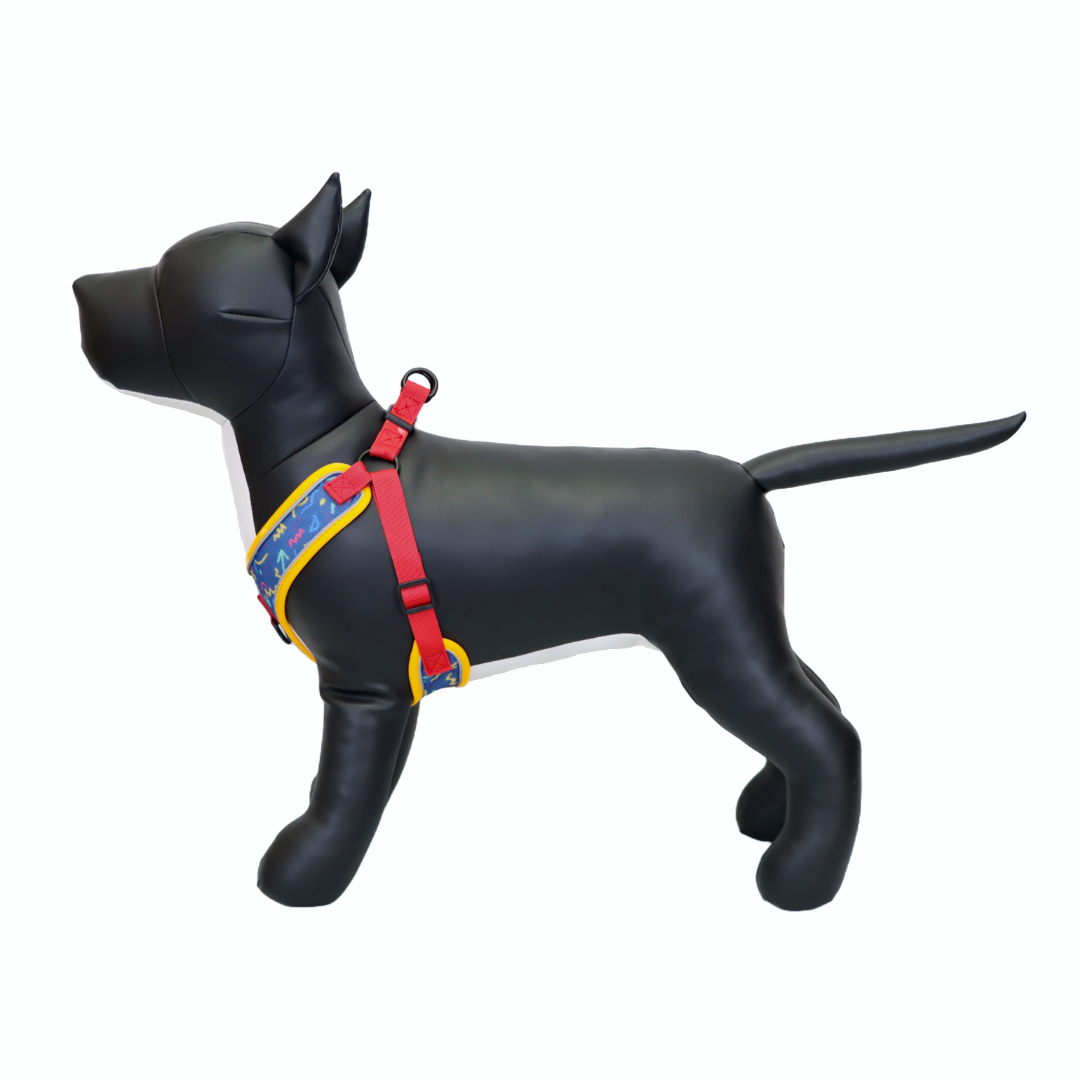 Arnés y Correa para Perro - Diseño con Líneas, Talla L