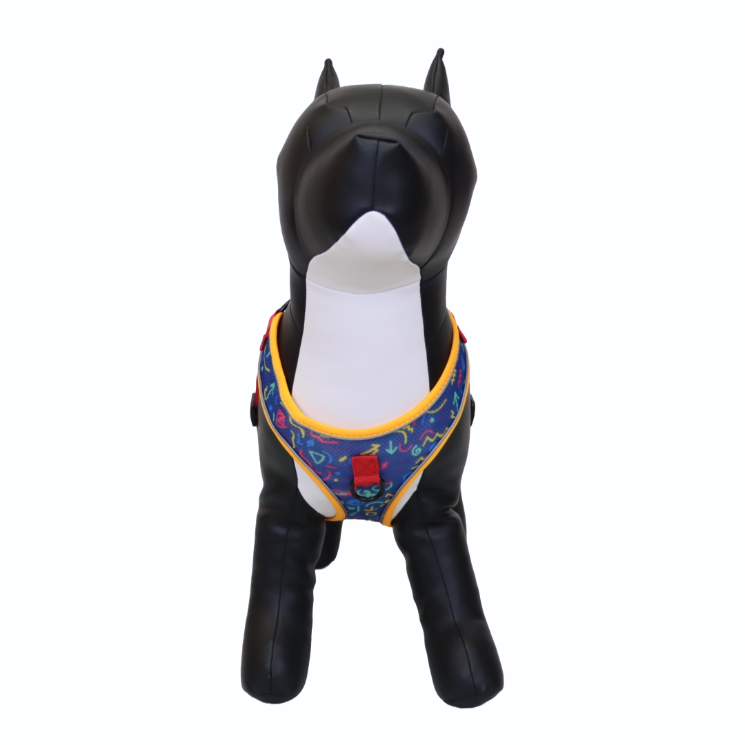 Arnés y Correa para Perro - Diseño con Líneas, Talla L