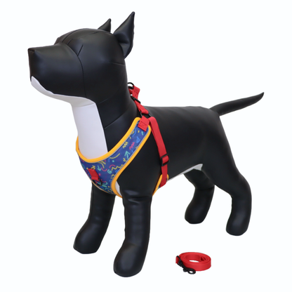 Arnés y Correa para Perro - Diseño con Líneas, Talla L