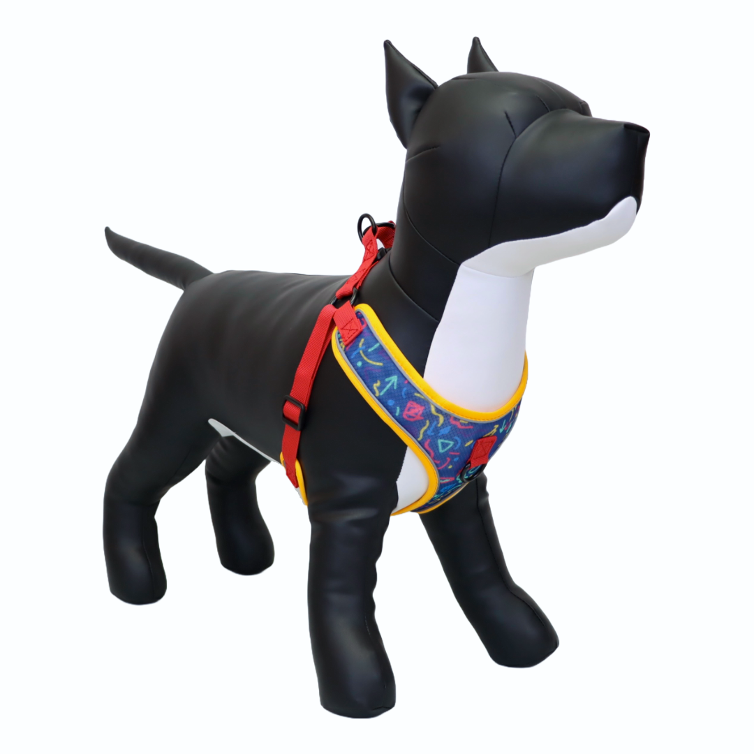 Arnés y Correa para Perro - Diseño con Líneas, Talla L