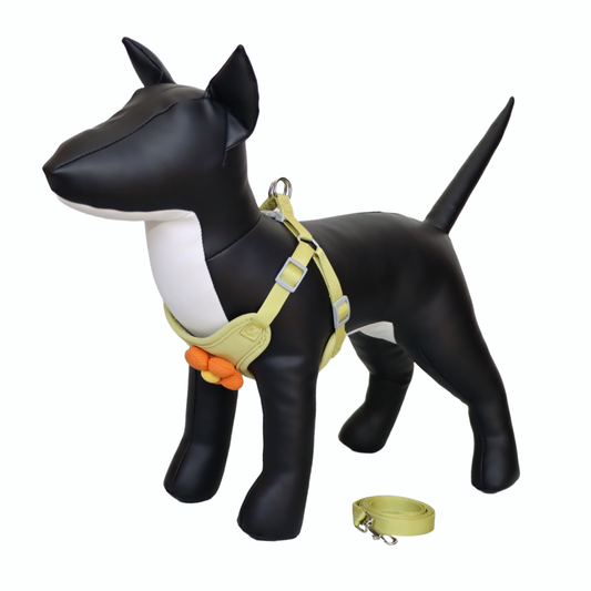 ARNÉS PARA PERRO/GATO CON DECORACIÓN DE FLOR - COLOR VERDE CLARO, TALLA XL